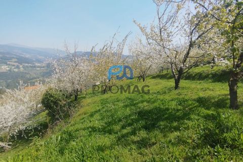 Landejendom i Resende, Viseu, Resende - € 270.000 | Ref: #282 - foto 42