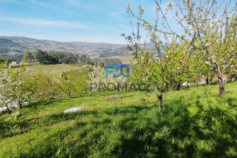 Landejendom i Resende, Viseu, Resende - € 270.000 | Ref: #282 - foto 43
