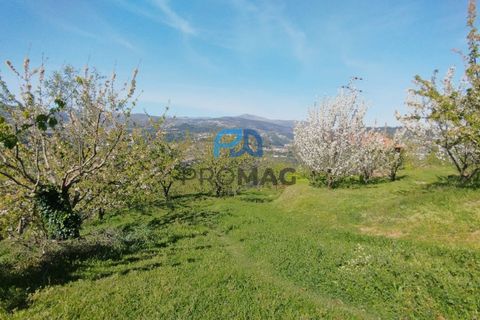 Landejendom i Resende, Viseu, Resende - € 270.000 | Ref: #282 - foto 44