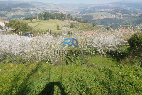 Landejendom i Resende, Viseu, Resende - € 270.000 | Ref: #282 - foto 46