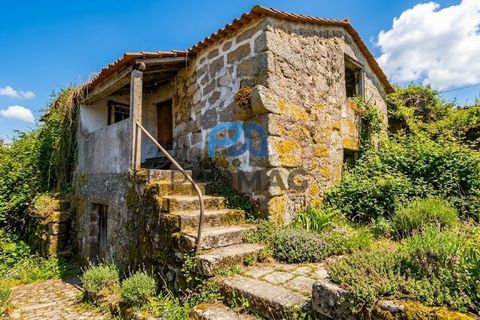 Landejendom i Resende, Viseu, Resende - € 270.000 | Ref: #282 - foto 48