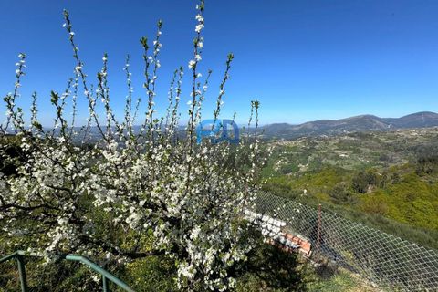 Villa en Amarante, Porto, Amarante - € 275.000 | Ref: #284 - photo 9