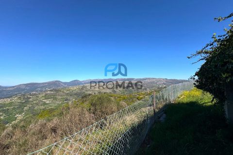 Villa en Amarante, Porto, Amarante - € 275.000 | Ref: #284 - photo 15