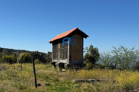 Villa en Amarante, Porto, Amarante - € 275.000 | Ref: #284 - photo 37
