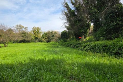 Terra a Pomezia, Rome, Pomezia - € 35.000 | Ref: 1001-739 - foto 2