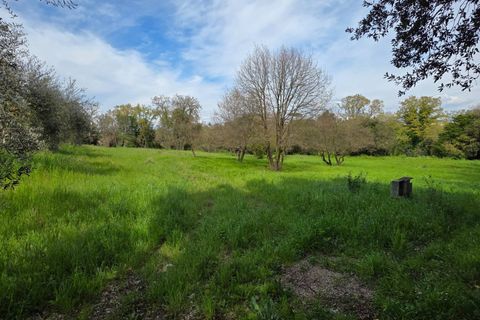 Terra a Pomezia, Rome, Pomezia - € 35.000 | Ref: 1001-739 - foto 3