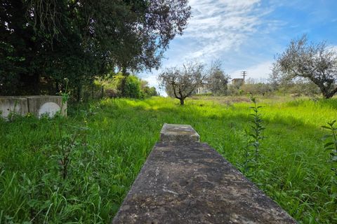 Terra a Pomezia, Rome, Pomezia - € 35.000 | Ref: 1001-739 - foto 4