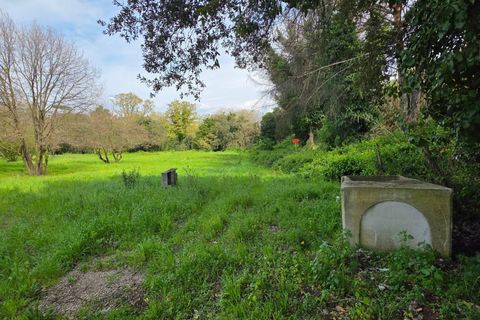 Terra a Pomezia, Rome, Pomezia - € 35.000 | Ref: 1001-739 - foto 5