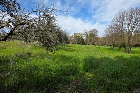 Terra a Pomezia, Rome, Pomezia - € 35.000 | Ref: 1001-739 - foto 7