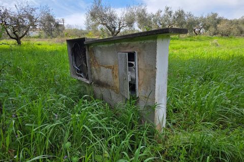Terra a Pomezia, Rome, Pomezia - € 35.000 | Ref: 1001-739 - foto 8