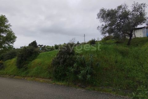 Helårsgrund i Coimbra, Coimbra, Coimbra - € 3.219.895 | Ref: RR99008 - foto 2