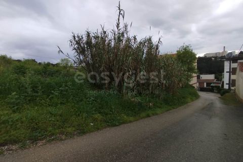 Helårsgrund i Coimbra, Coimbra, Coimbra - € 3.219.895 | Ref: RR99008 - foto 3