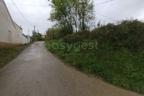 Helårsgrund i Coimbra, Coimbra, Coimbra - € 3.219.895 | Ref: RR99008 - foto 4