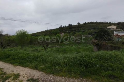 Helårsgrund i Coimbra, Coimbra, Coimbra - € 3.219.895 | Ref: RR99008 - foto 7