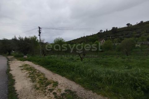 Helårsgrund i Coimbra, Coimbra, Coimbra - € 3.219.895 | Ref: RR99008 - foto 9