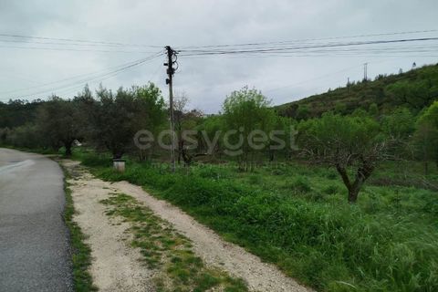 Helårsgrund i Coimbra, Coimbra, Coimbra - € 3.219.895 | Ref: RR99008 - foto 10