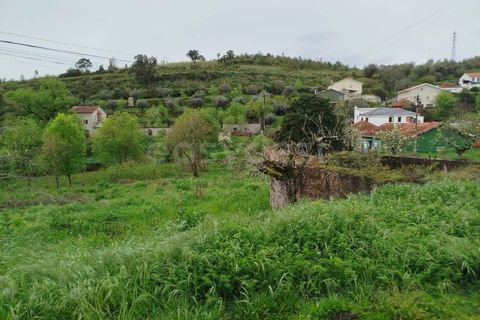 Helårsgrund i Coimbra, Coimbra, Coimbra - € 3.219.895 | Ref: RR99008 - foto 11