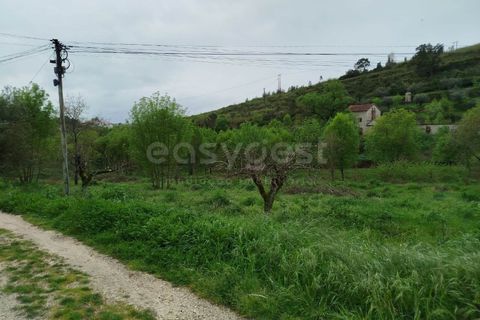 Helårsgrund i Coimbra, Coimbra, Coimbra - € 3.219.895 | Ref: RR99008 - foto 12