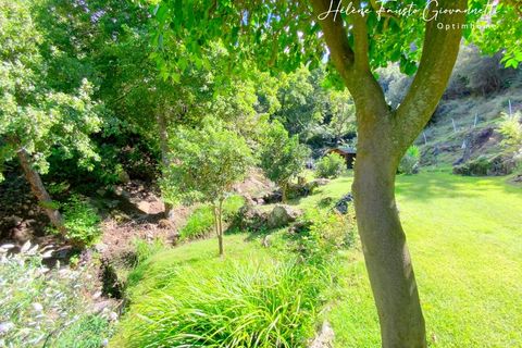 Leilighet i Oletta, Haute-Corse, Oletta - € 546 000 | Ref: 830031143009 - foto 12