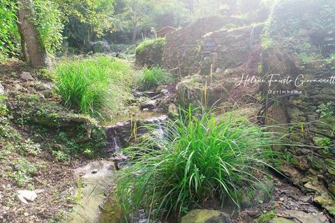 Leilighet i Oletta, Haute-Corse, Oletta - € 546 000 | Ref: 830031143009 - foto 27