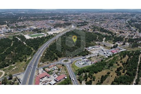 Helårsgrund i Seixal, Setubal, Seixal - € 7.500.000 | Ref: PH3490 - foto 1