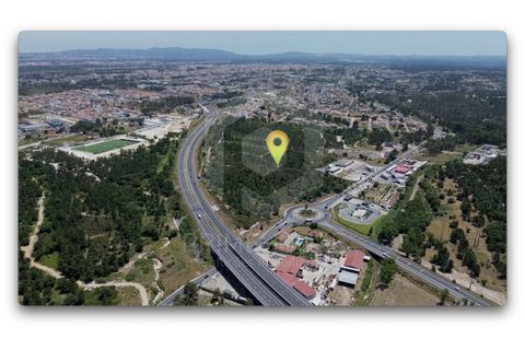 Helårsgrund i Seixal, Setubal, Seixal - € 7.500.000 | Ref: PH3490 - foto 5