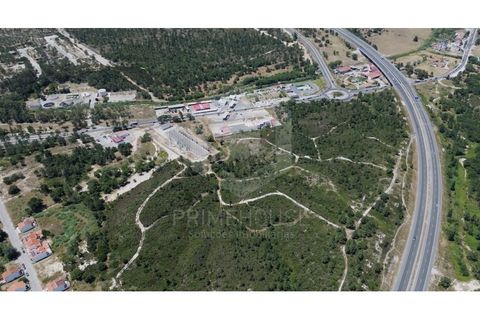 Helårsgrund i Seixal, Setubal, Seixal - € 7.500.000 | Ref: PH3490 - foto 10