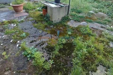 Villa a Massa, Massa and Carrara, Massa - € 220.000 | Ref: 3653 - foto 9