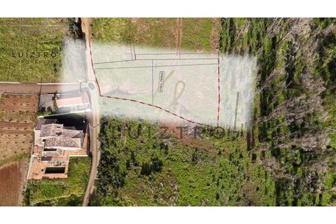 Helårsgrund i Ponta do Pargo, Madeira, Ponta do Pargo - € 170.000 | Ref: TER_63 - foto 2