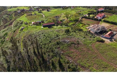 Helårsgrund i Ponta do Pargo, Madeira, Ponta do Pargo - € 170.000 | Ref: TER_63 - foto 6