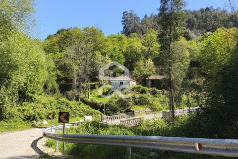 Villa a Penafiel, Porto, Penafiel - € 185.000 | Ref: 395/M/00341 - foto 2
