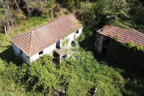 Villa a Penafiel, Porto, Penafiel - € 185.000 | Ref: 395/M/00341 - foto 3