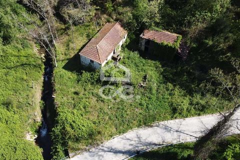 Villa a Penafiel, Porto, Penafiel - € 185.000 | Ref: 395/M/00341 - foto 4