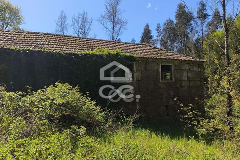 Villa a Penafiel, Porto, Penafiel - € 185.000 | Ref: 395/M/00341 - foto 8