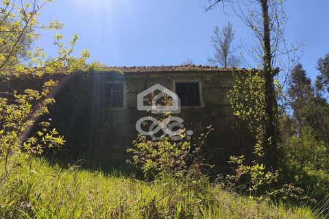 Villa a Penafiel, Porto, Penafiel - € 185.000 | Ref: 395/M/00341 - foto 9