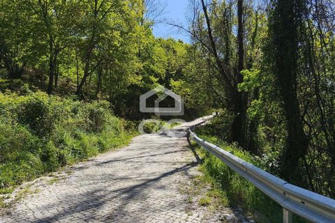 Villa a Penafiel, Porto, Penafiel - € 185.000 | Ref: 395/M/00341 - foto 10
