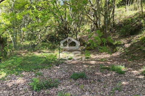 Villa a Penafiel, Porto, Penafiel - € 185.000 | Ref: 395/M/00341 - foto 14
