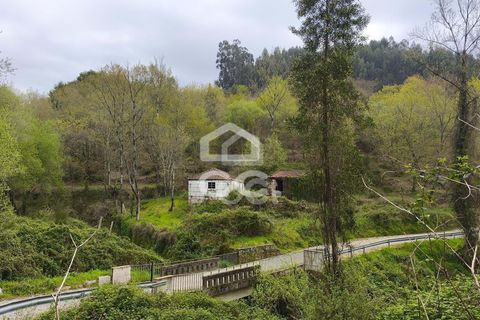 Villa a Penafiel, Porto, Penafiel - € 185.000 | Ref: 395/M/00341 - foto 16
