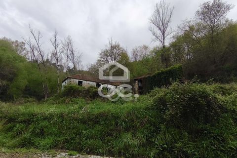 Villa a Penafiel, Porto, Penafiel - € 185.000 | Ref: 395/M/00341 - foto 17