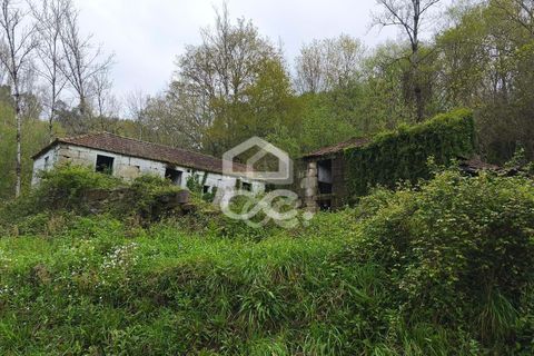 Villa a Penafiel, Porto, Penafiel - € 185.000 | Ref: 395/M/00341 - foto 19