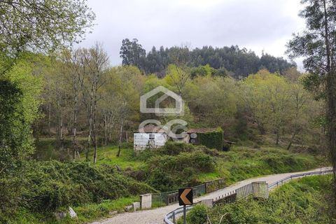 Villa a Penafiel, Porto, Penafiel - € 185.000 | Ref: 395/M/00341 - foto 22