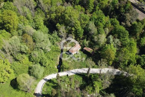 Villa a Penafiel, Porto, Penafiel - € 185.000 | Ref: 395/M/00341 - foto 23
