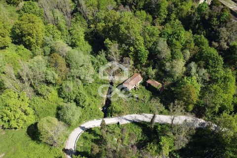 Villa a Penafiel, Porto, Penafiel - € 185.000 | Ref: 395/M/00341 - foto 24