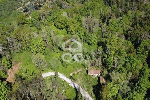 Villa a Penafiel, Porto, Penafiel - € 185.000 | Ref: 395/M/00341 - foto 27