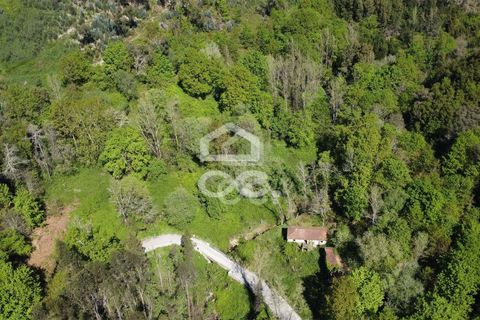 Villa a Penafiel, Porto, Penafiel - € 185.000 | Ref: 395/M/00341 - foto 28