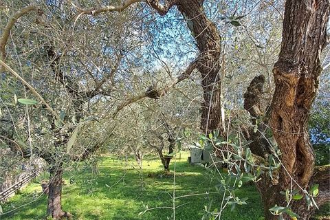 Villa i Massarosa, Lucca, Massarosa - € 330.000 | Ref: M237 - foto 15