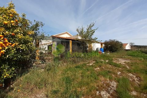 Villa i Cadaval, Lisbon, Cadaval - € 260.000 | Ref: 1343 - foto 33