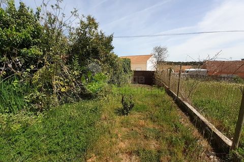 Villa i Cadaval, Lisbon, Cadaval - € 260.000 | Ref: 1343 - foto 36