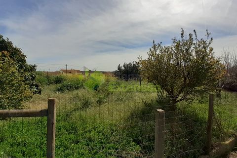 Villa i Cadaval, Lisbon, Cadaval - € 260.000 | Ref: 1343 - foto 39