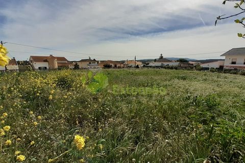 Villa i Cadaval, Lisbon, Cadaval - € 260.000 | Ref: 1343 - foto 41